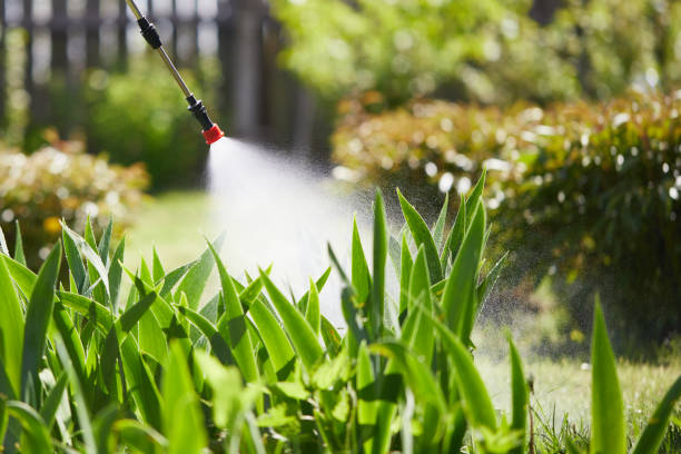 24/7 Emergency Fumigation Services experts in Palmyra, WI